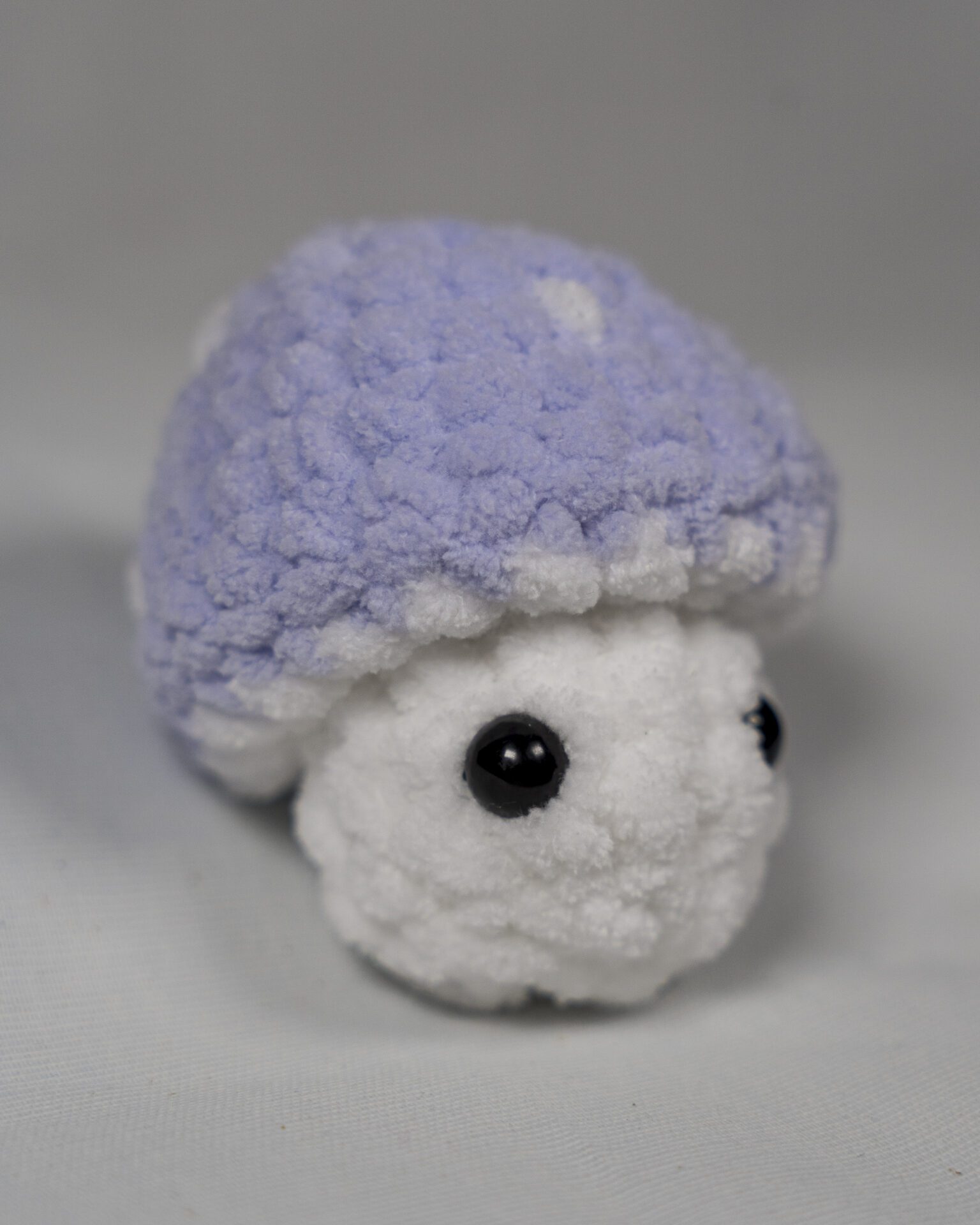 Inventory sept 2025 748610