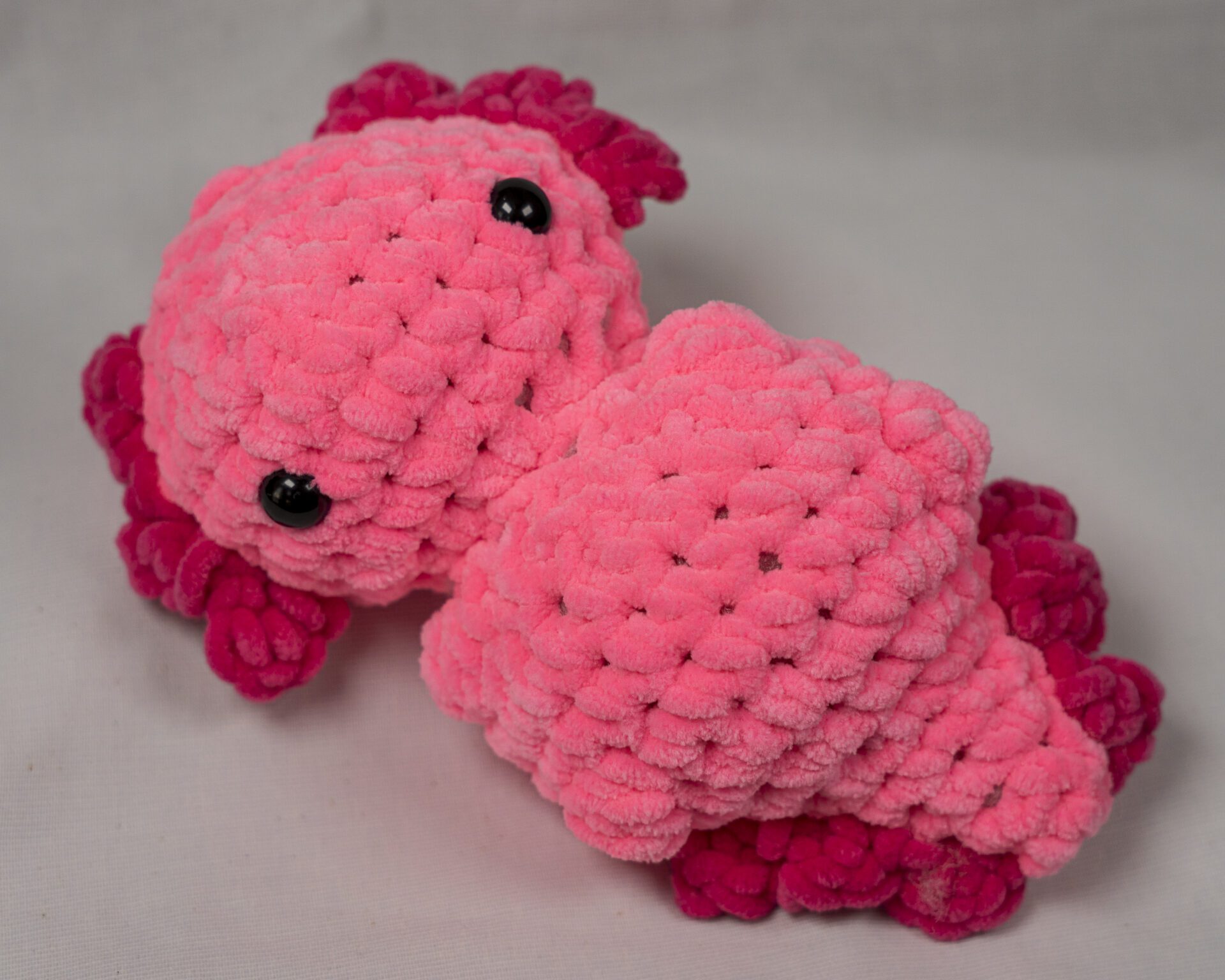 Inventory sept 2025 748660